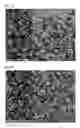 Fig. 04 - Columnar aluminum titanate and method for producing same