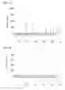 Fig. 08 - Columnar aluminum titanate and method for producing same