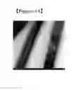Fig. 09 - Belt-shaped metal nanostructure and method for preparing same