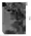 Fig. 02 - Noble metal fine particle supported catalyst and method for producing the catalyst, and purifying catalyst