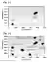 Fig. 11 - Multiplexed digital assays with combinatorial use of signals