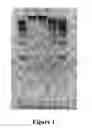 Fig. 02 - EPIGENETIC DNA ENRICHMENT