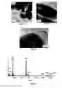 Fig. 06 - Nanostructures, their use and process for their production