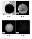Fig. 09 - Nanostructures, their use and process for their production