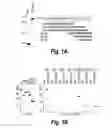 Fig. 02 - ANTI-INFLAMMATORY COMPOUNDS AND USES THEREOF
