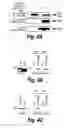 Fig. 07 - ANTI-INFLAMMATORY COMPOUNDS AND USES THEREOF