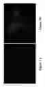 Fig. 02 - METHODS AND COMPOSITIONS FOR DISRUPTING BIOFILM UTILIZING CHITOSAN-DERIVATIVE COMPOUNDS