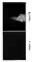 Fig. 03 - METHODS AND COMPOSITIONS FOR DISRUPTING BIOFILM UTILIZING CHITOSAN-DERIVATIVE COMPOUNDS