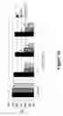 Fig. 11 - METHODS AND COMPOSITIONS FOR DISRUPTING BIOFILM UTILIZING CHITOSAN-DERIVATIVE COMPOUNDS