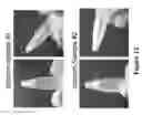 Fig. 13 - METHODS AND COMPOSITIONS FOR DISRUPTING BIOFILM UTILIZING CHITOSAN-DERIVATIVE COMPOUNDS