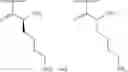 Fig. 170 - METHODS AND COMPOSITIONS FOR DISRUPTING BIOFILM UTILIZING CHITOSAN-DERIVATIVE COMPOUNDS