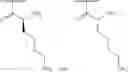 Fig. 192 - METHODS AND COMPOSITIONS FOR DISRUPTING BIOFILM UTILIZING CHITOSAN-DERIVATIVE COMPOUNDS