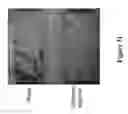 Fig. 33 - METHODS AND COMPOSITIONS FOR DISRUPTING BIOFILM UTILIZING CHITOSAN-DERIVATIVE COMPOUNDS