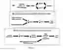 Fig. 02 - COMPOUNDS AND THERAPEUTIC USES THEREOF