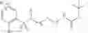 Fig. 79 - COMPOUNDS AND THERAPEUTIC USES THEREOF