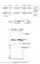 Fig. 02 - COMPOUNDS USEFUL FOR TREATING PREMATURE AGING AND IN PARTICULAR PROGERIA