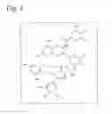 Fig. 05 - NOVEL COMPOUND HAVING INHIBITORY EFFECT ON LIPASE