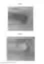 Fig. 02 - Polyarylene sulfide and preparation method thereof