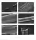 Fig. 06 - Spider silk proteins and methods for producing spider silk proteins