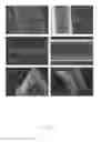 Fig. 09 - Spider silk proteins and methods for producing spider silk proteins