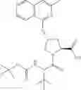 Fig. 166 - Hepatitis C virus inhibitors