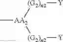 Fig. 28 - Method for preparing polybiotinylated compounds