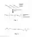 Fig. 02 - Crystallized diacetylenic indicator compounds and methods of preparing the compounds