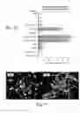 Fig. 09 - Crystallized diacetylenic indicator compounds and methods of preparing the compounds