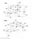 Fig. 02 - Process for producing para-xylene
