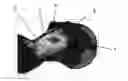 Fig. 01 - RADIOTHERAPY PHANTOM