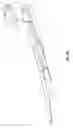 Fig. 37 - Laryngoscope and method of use