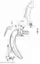 Fig. 52 - Laryngoscope and method of use