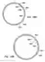 Fig. 74 - Wound retractor with gel cap