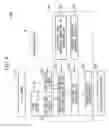 Fig. 09 - Concentration determination apparatus and concentration determination method for measuring a concentration of a measured component contained in a living body tissue