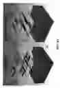 Fig. 05 - Confocal microscope, system and method therefor
