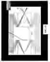 Fig. 44 - Confocal microscope, system and method therefor