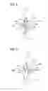 Fig. 04 - COsensor and COmeasuring apparatus