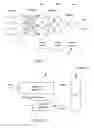 Fig. 15 - System and method for assessing real time pulmonary mechanics