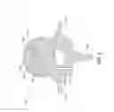 Fig. 04 - Vertebral bone channeling systems