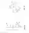 Fig. 10 - Vertebral bone channeling systems