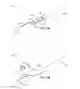 Fig. 24 - Vertebral bone channeling systems
