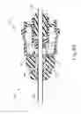 Fig. 06 - Introducer for biopsy device