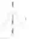 Fig. 02 - ARTICULATED MASSAGE DEVICE