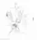 Fig. 07 - ARTICULATED MASSAGE DEVICE