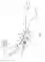 Fig. 02 - Electrical ablation devices