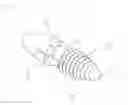 Fig. 02 - Inter-spinous process implant