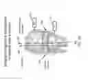 Fig. 17 - Orthopedic Check and Balance System