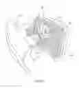 Fig. 14 - Orthosis for gait modulation