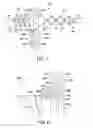 Fig. 06 - Control system for a stent delivery system