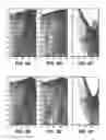 Fig. 07 - Dispersion estimation by nonlinear optimization of beam-formed fields